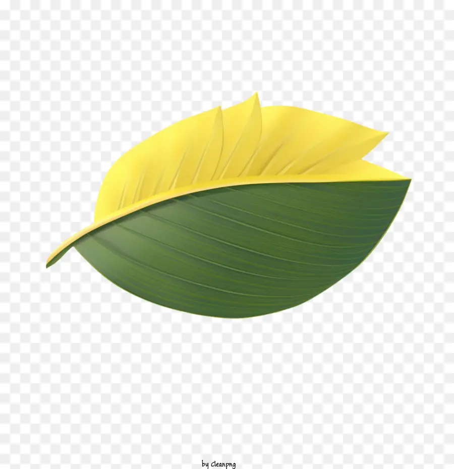 Muz Yaprağı，Sarı Yaprak PNG