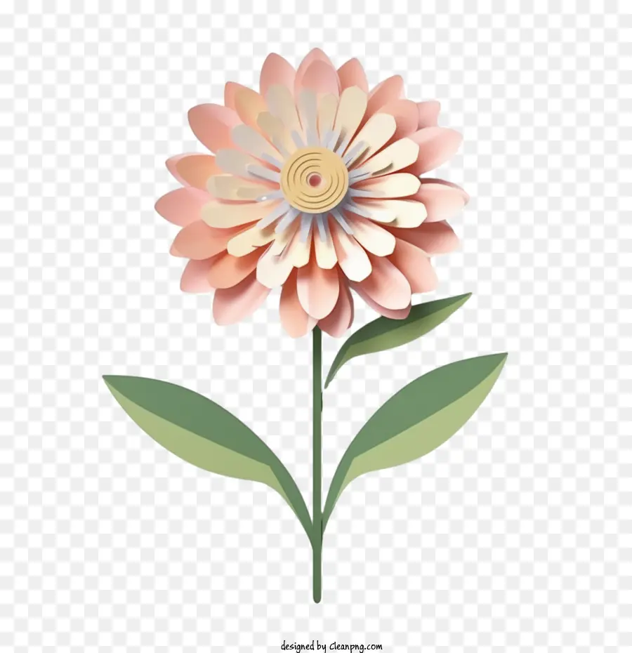 Zinnia çiçeği，Gül PNG