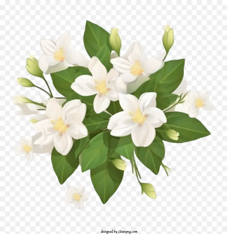 Yasemin çiçeği，Buket PNG