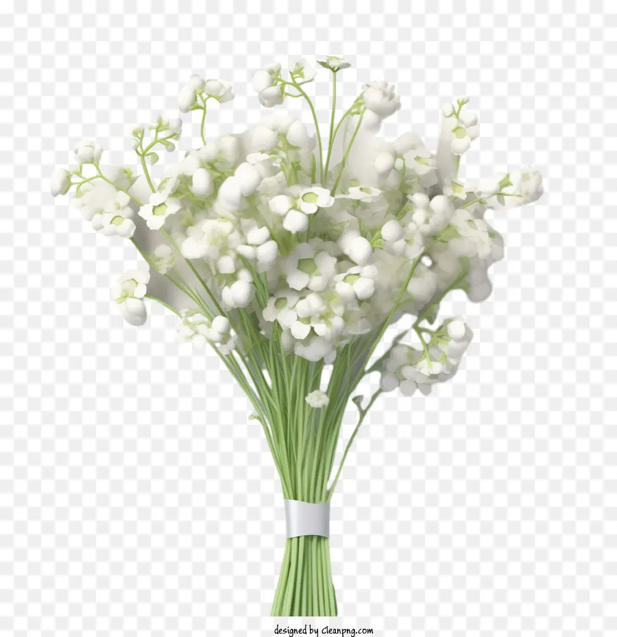 Bebek Nefesi çiçeği，Beyaz çiçekler PNG