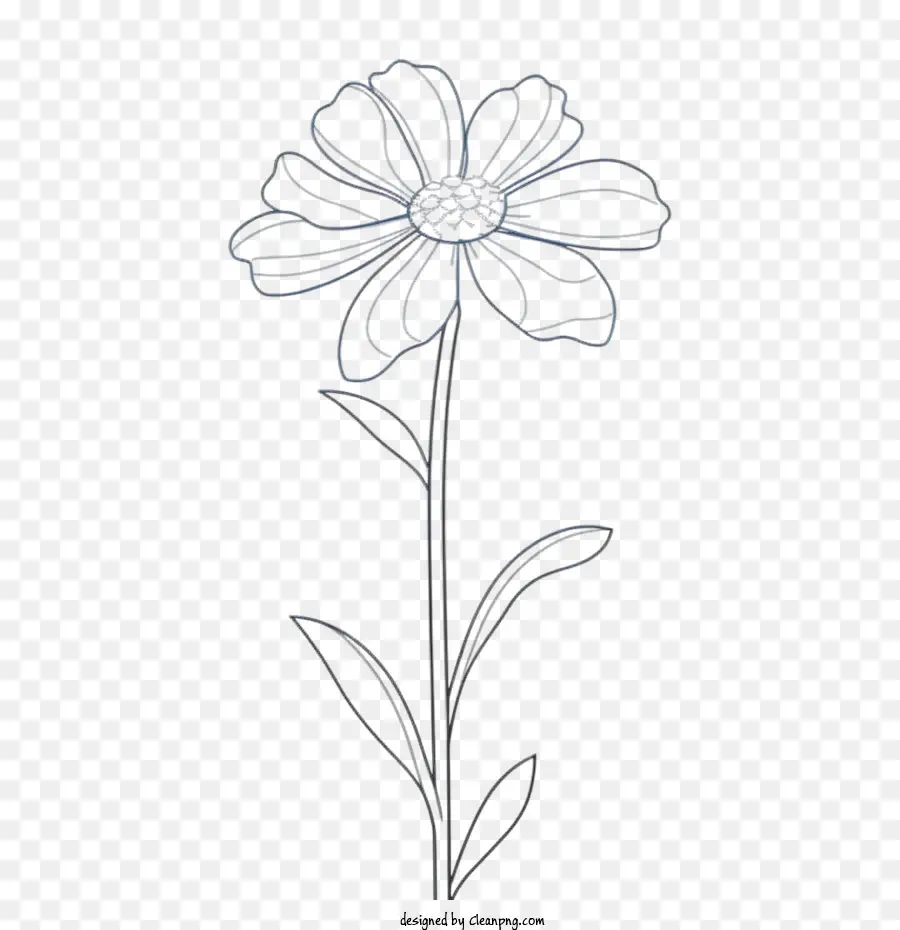 çiçek，Elle çizilmiş çiçek PNG