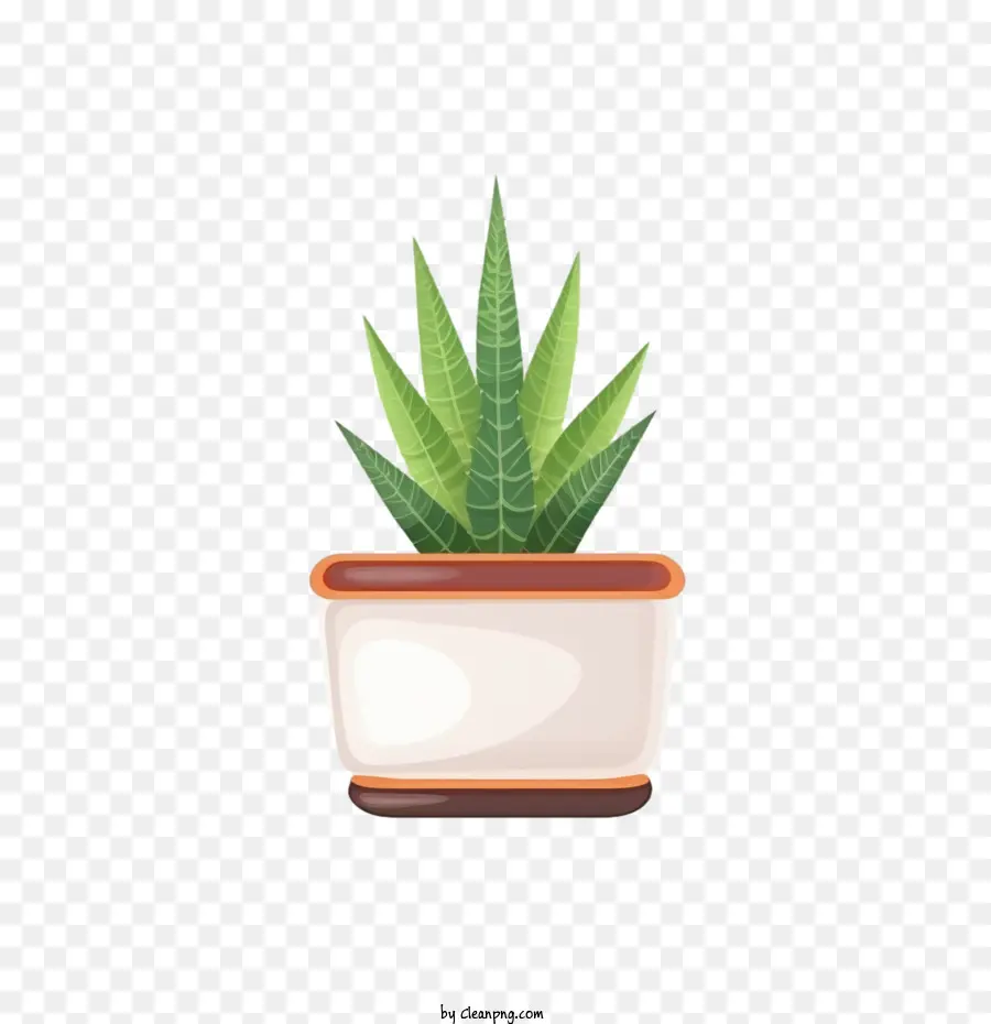 Aloe Bitki，Bir Tencerede Bitki PNG