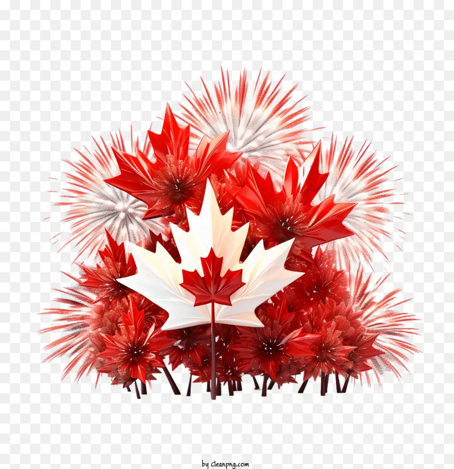Kanada Günü，Kırmızı PNG