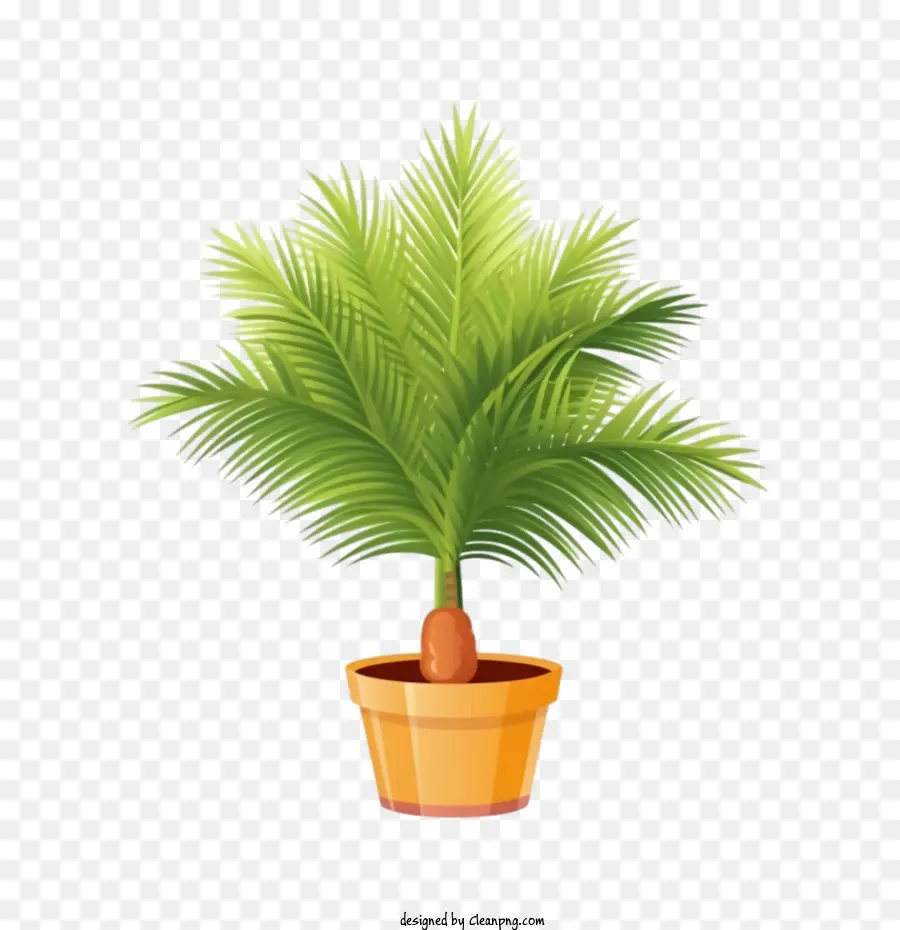 Palmiye Ağacı，Saksı Bitkisi PNG