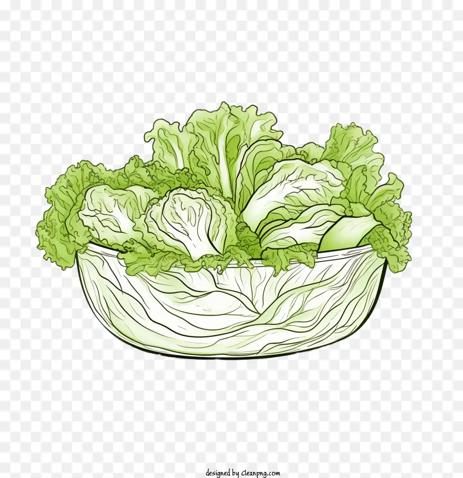 Yeşil Salata，Elle Çizilmiş Salata PNG