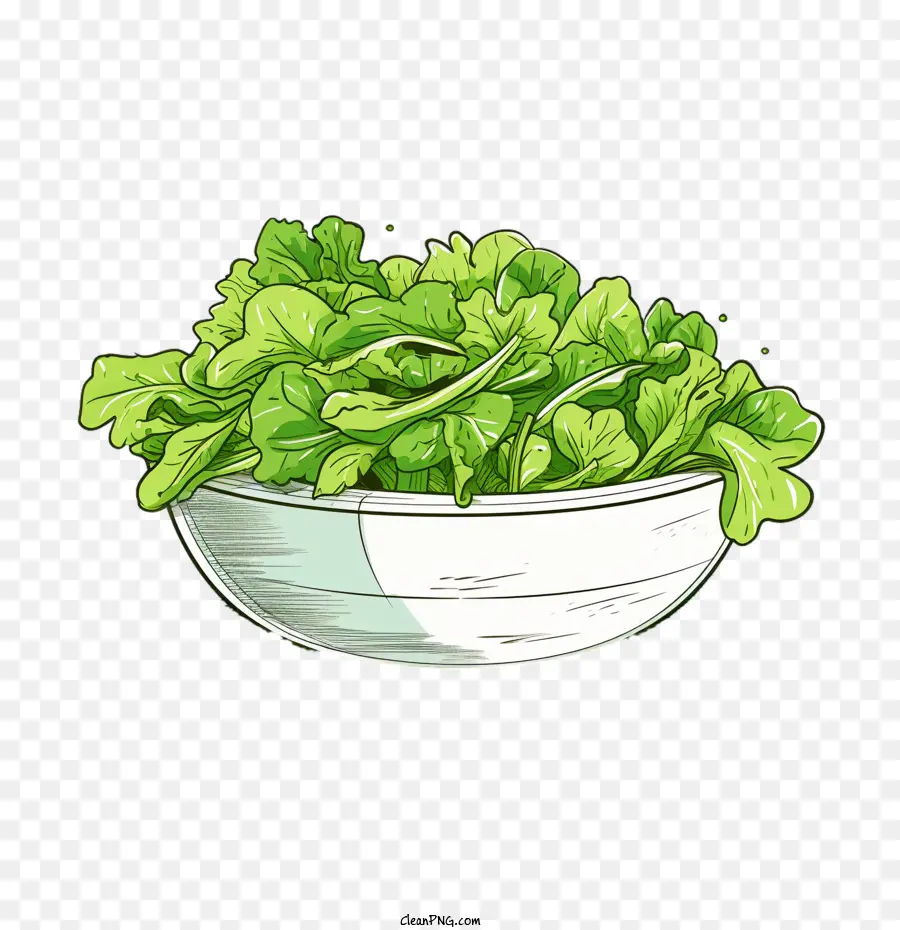 Yeşil Salata，Elle çizilmiş Salata PNG
