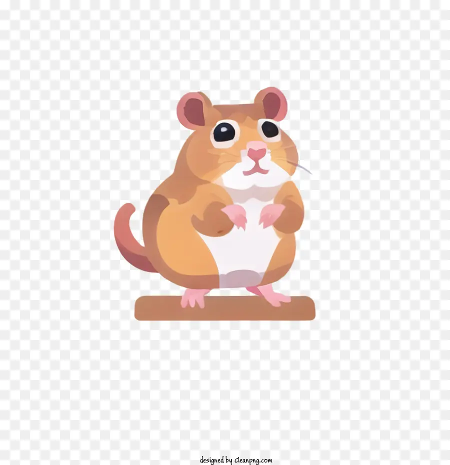 Sevimli Hamster，Hamster PNG