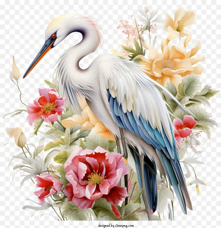 Vinç çiçeği，Kuş PNG