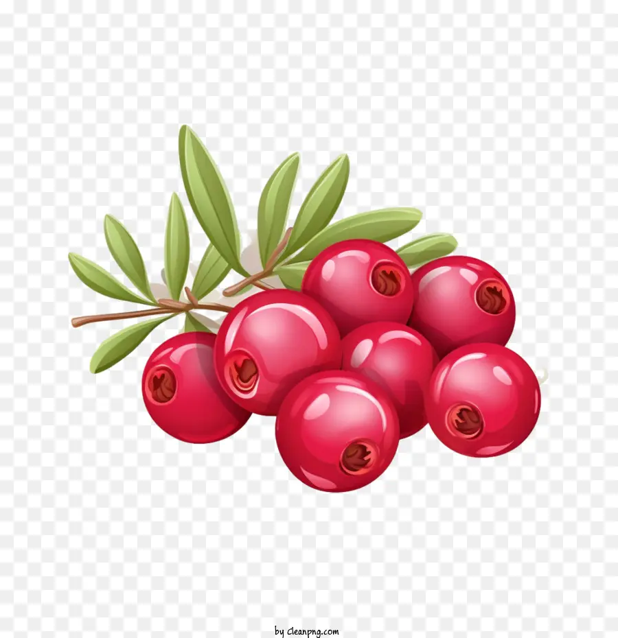 Vahşi Berry，Kızılcık PNG