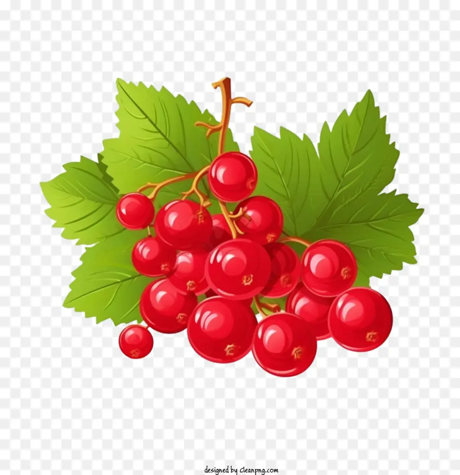 Vahşi Berry，Kızılcık PNG