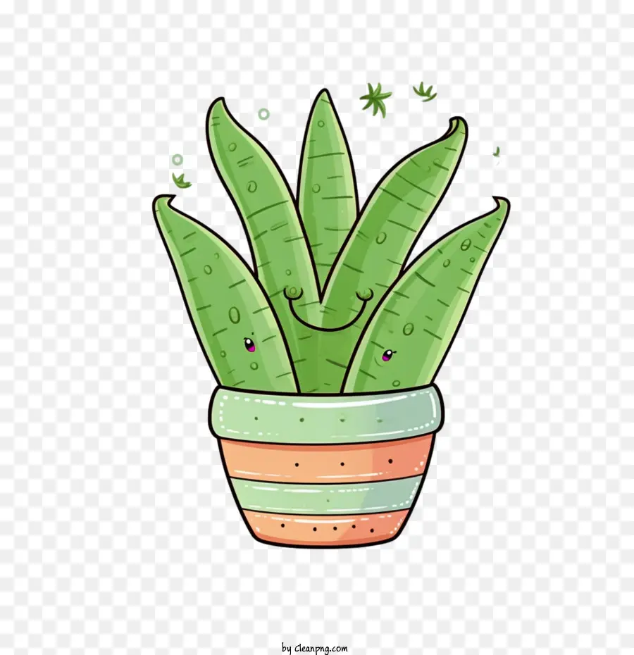 Aloe Vera，Bitki PNG