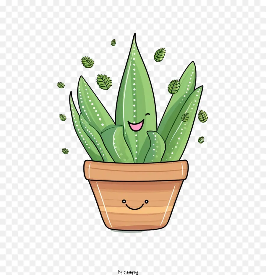 Aloe Vera，Bitki PNG