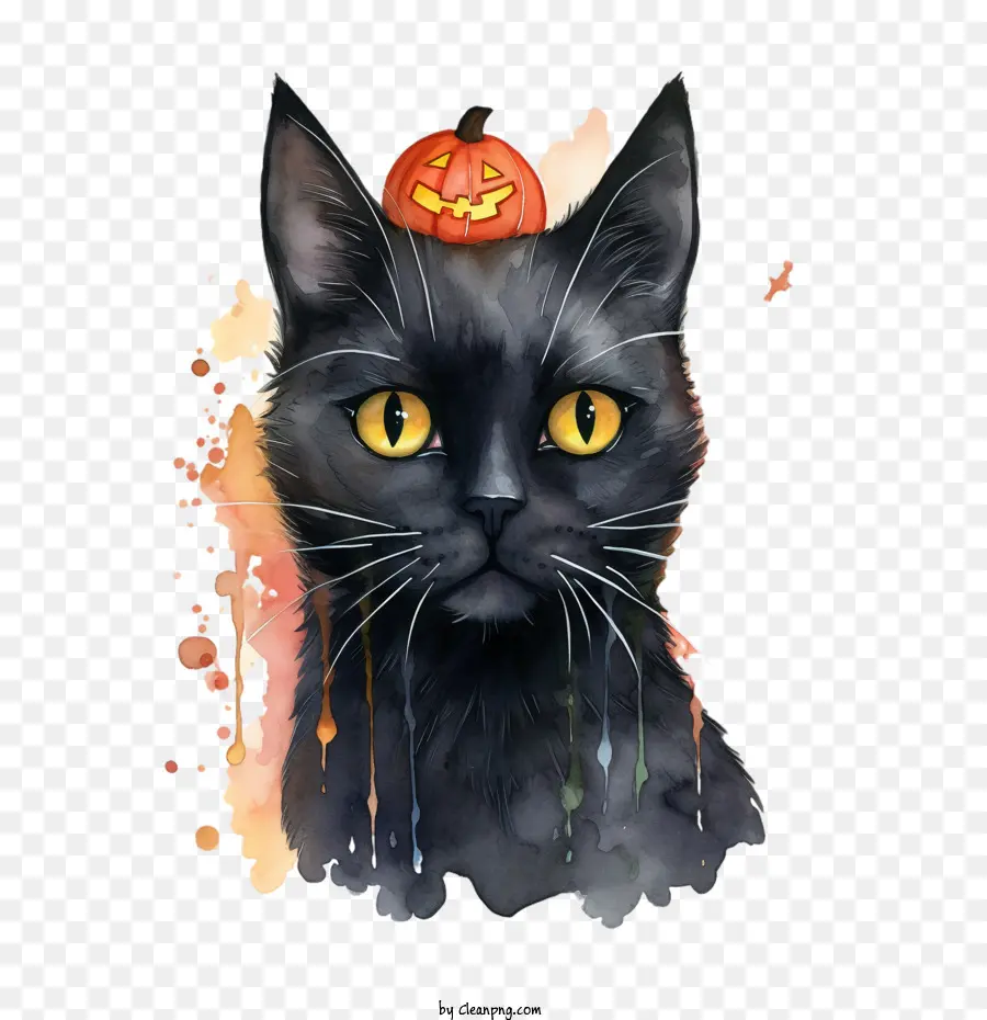 Cadılar Bayramı，Kara Kedi PNG