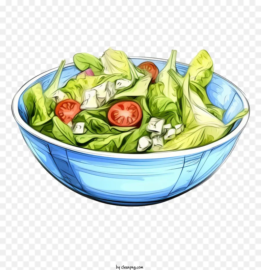 Salata，Sağlık Salatası PNG