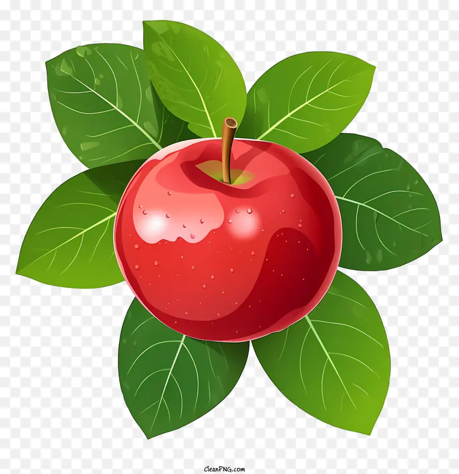 Kırmızı Elma Bir Gün Yemek，Elma PNG