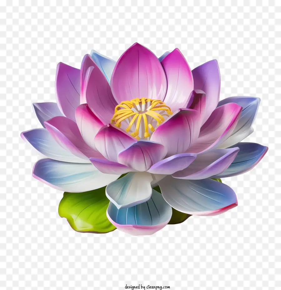 Lotus çiçeği，Lotus PNG