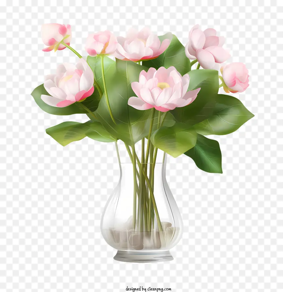 Lotus çiçeği，Buket PNG
