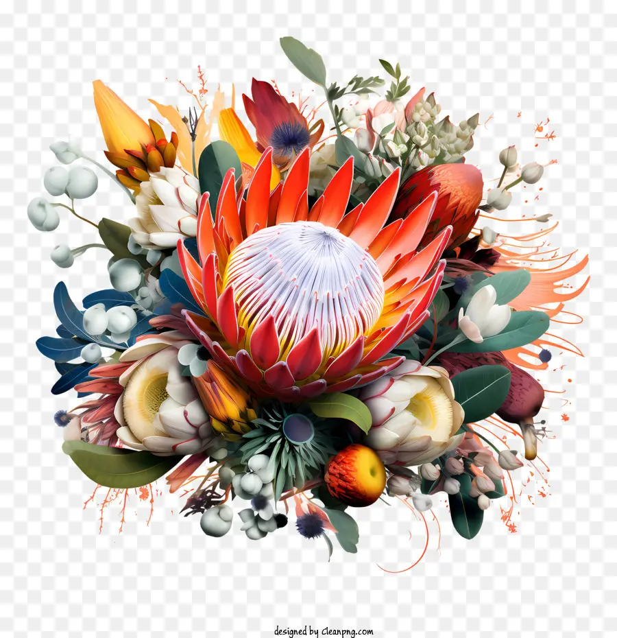 Protea çiçek，çiçek PNG