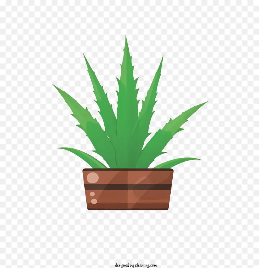 Aloe Vera，Saksı Bitkisi PNG