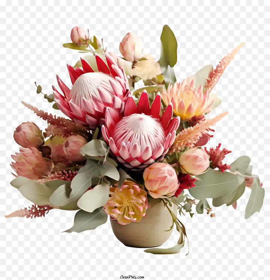 Protea çiçek，çiçek Aranjmanı PNG