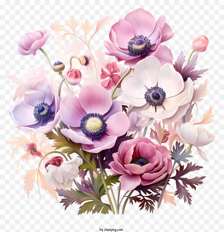 Anemon çiçeği，Buket PNG