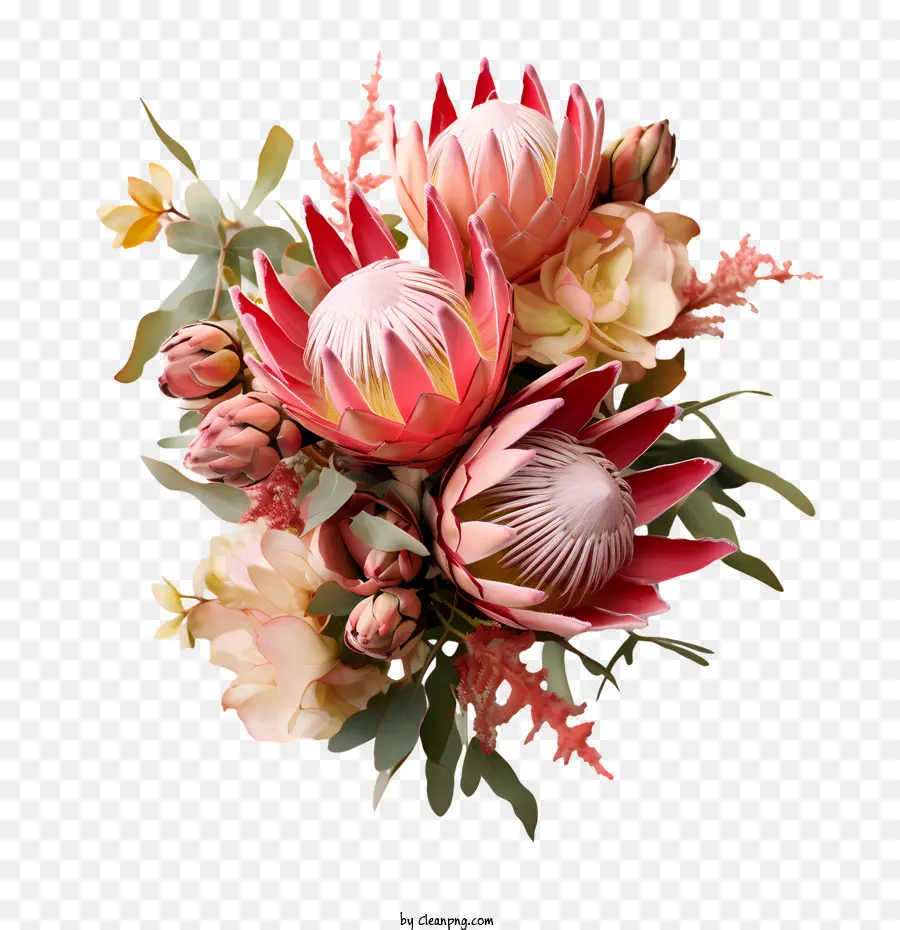 Protea çiçek，Buket PNG