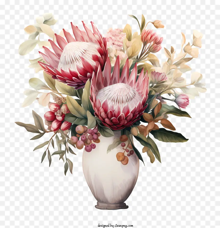 Protea çiçek，çiçek Buketi PNG