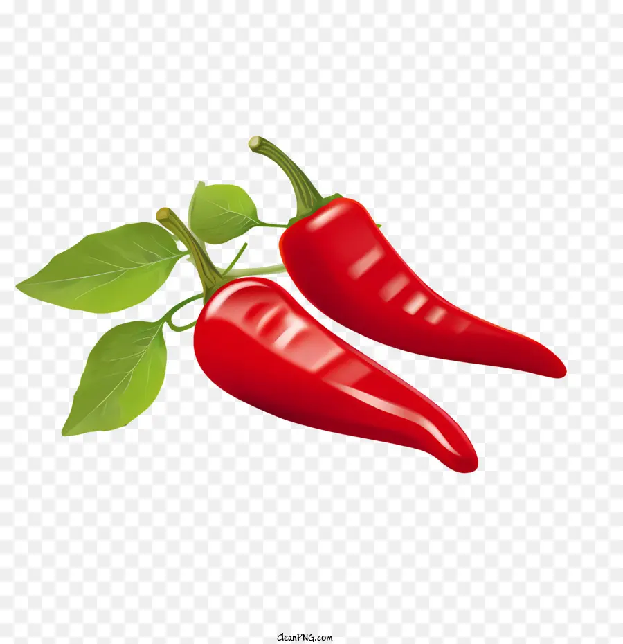 Jalapeno，Acı Biber PNG