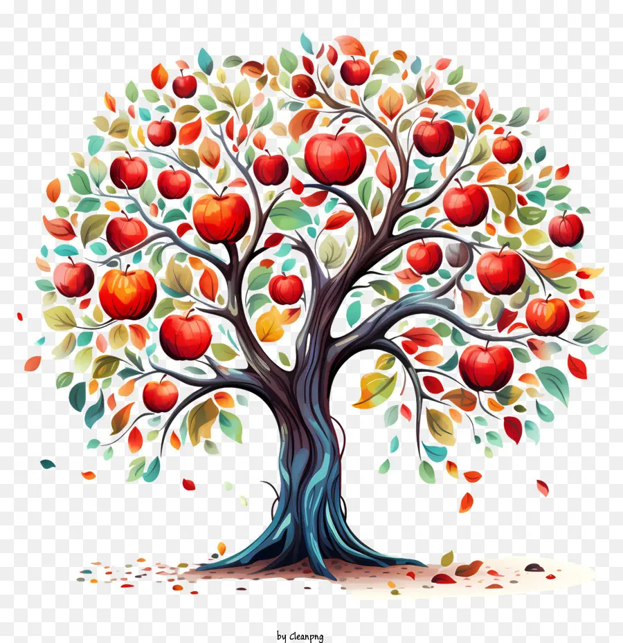 Elma Ağacı，Renkli PNG