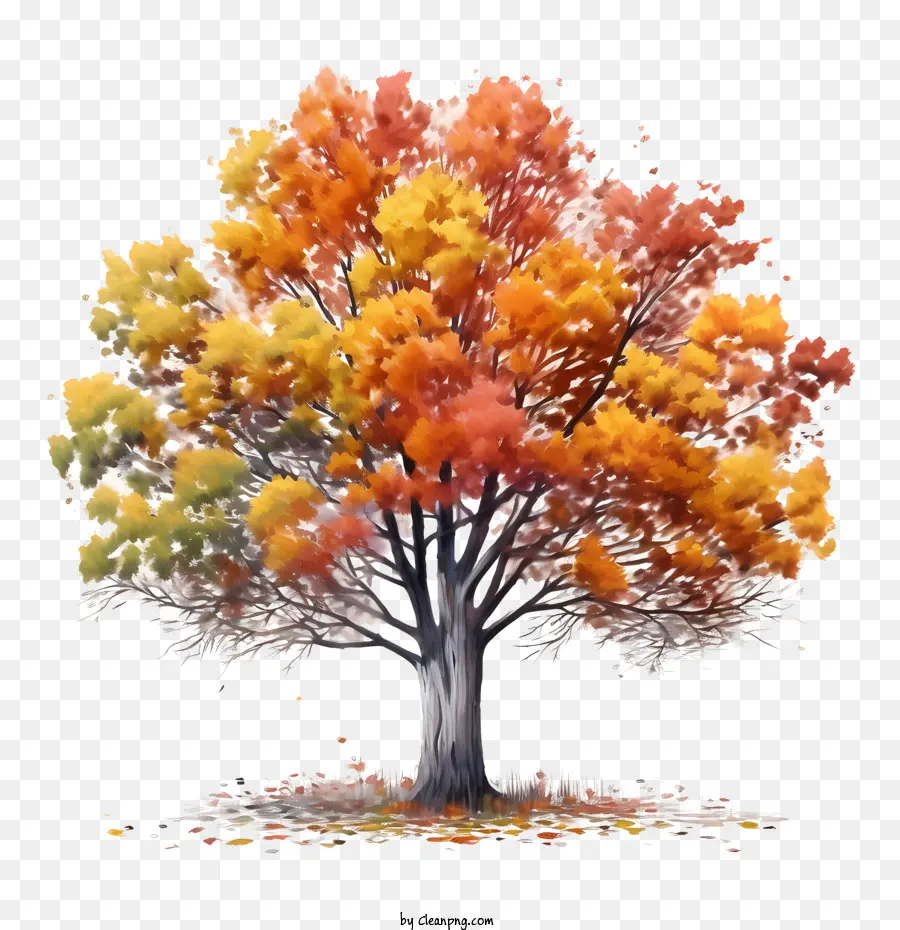 Sonbahar Ağacı，Ağaç PNG