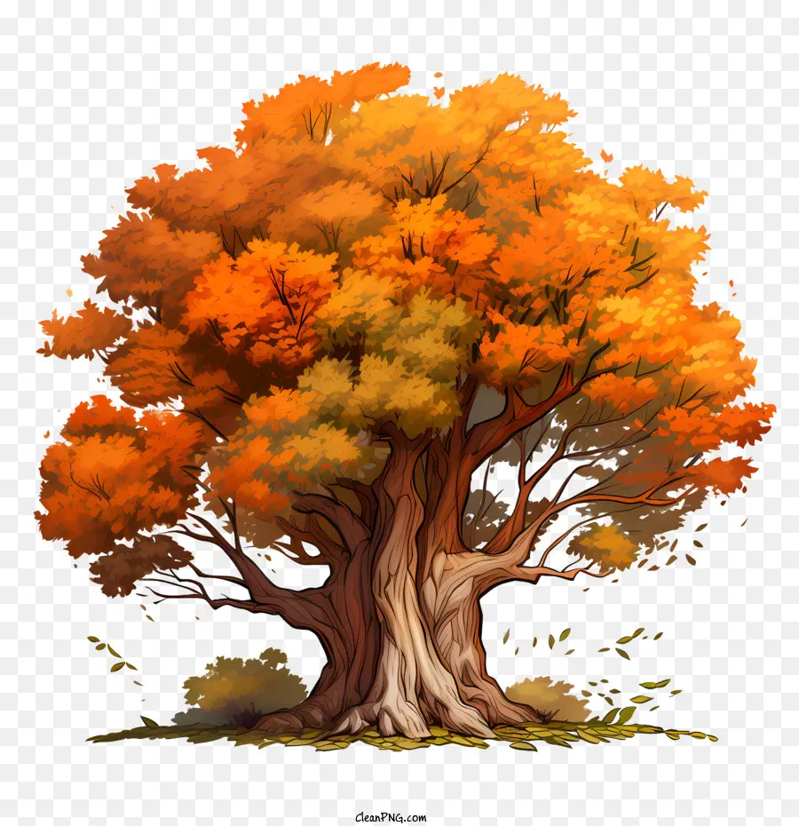 Sonbahar Ağacı，Ağaç PNG