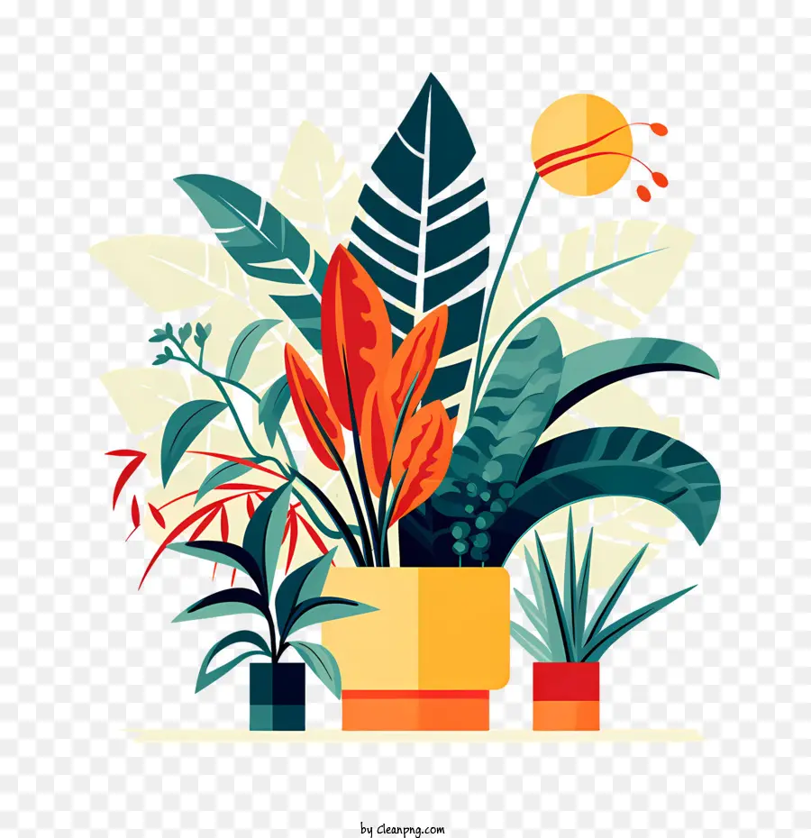 Houseplant Takdir Günü，Renkli Bitkiler PNG