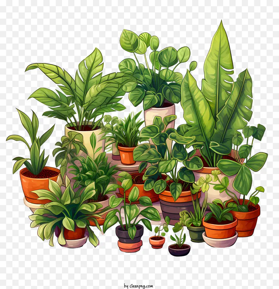 Houseplant Takdir Günü，Bitkiler PNG