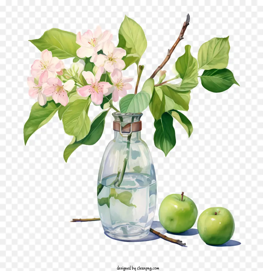 Elma çiçeği，Buket PNG