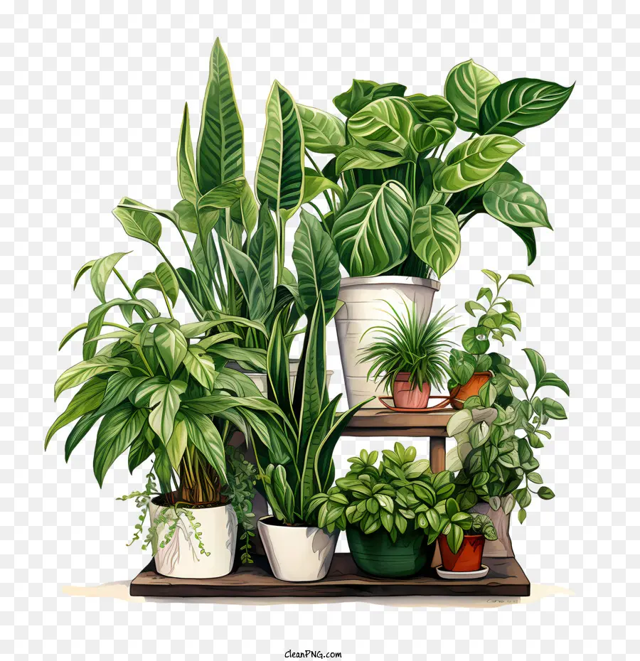 Houseplant Takdir Günü，Saksı Bitkileri PNG