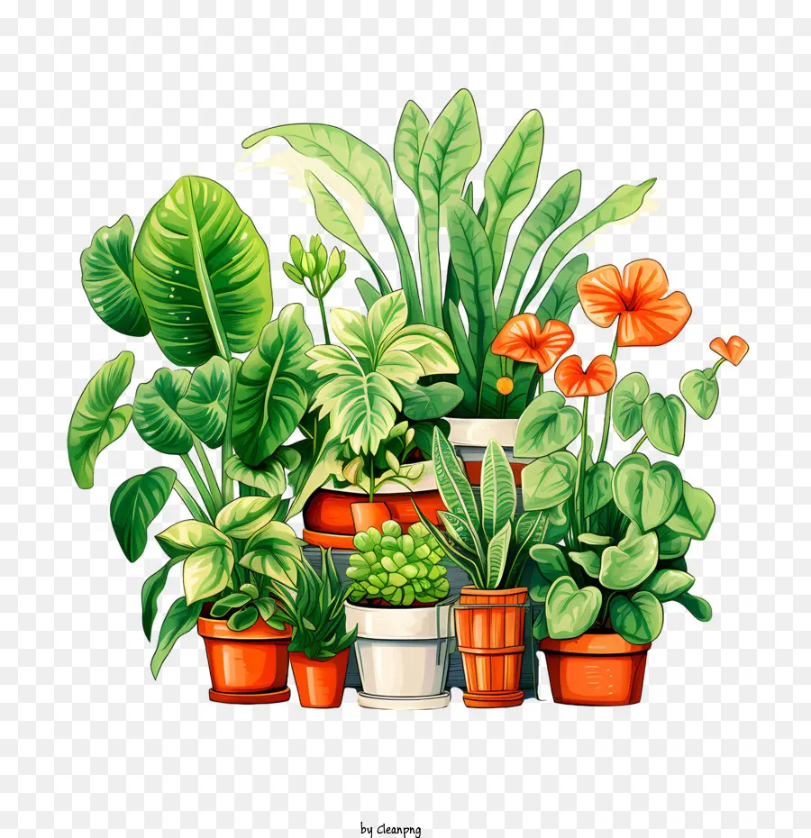 Houseplant Takdir Günü，Tropikal Bitkiler PNG