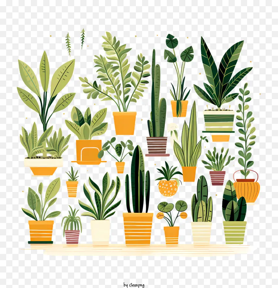 Houseplant Takdir Günü，Bitkiler PNG