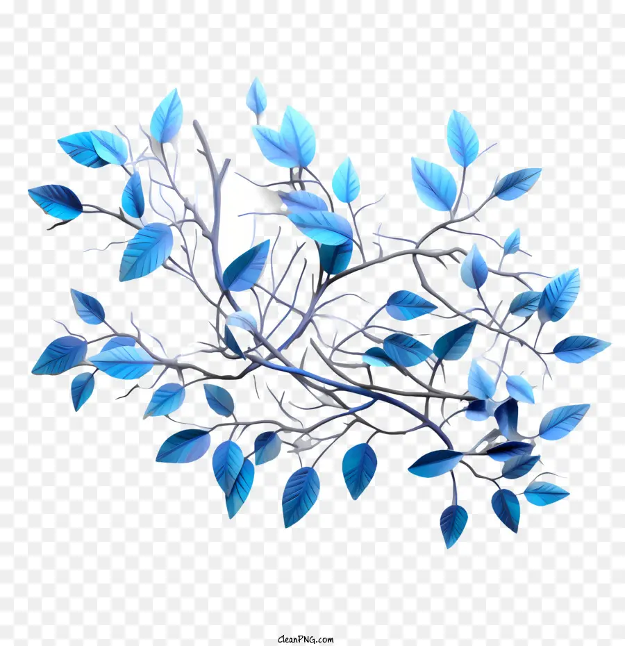 Mavi Yapraklar，Yaprakları PNG
