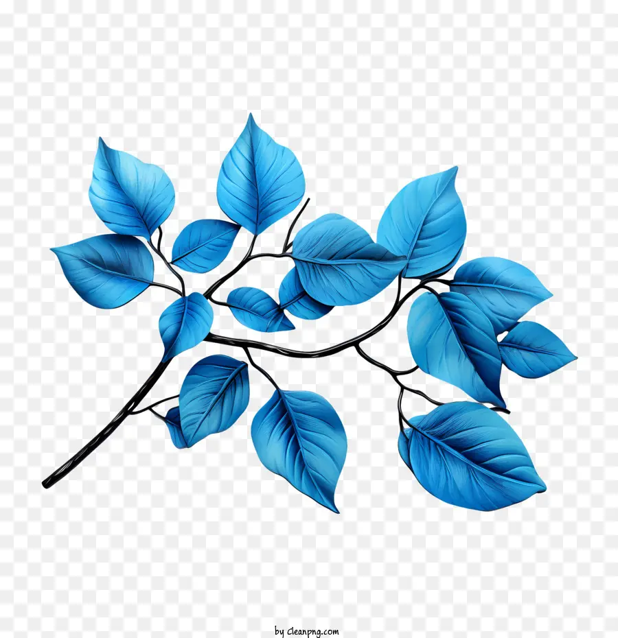 Mavi Yapraklar，Mavi PNG