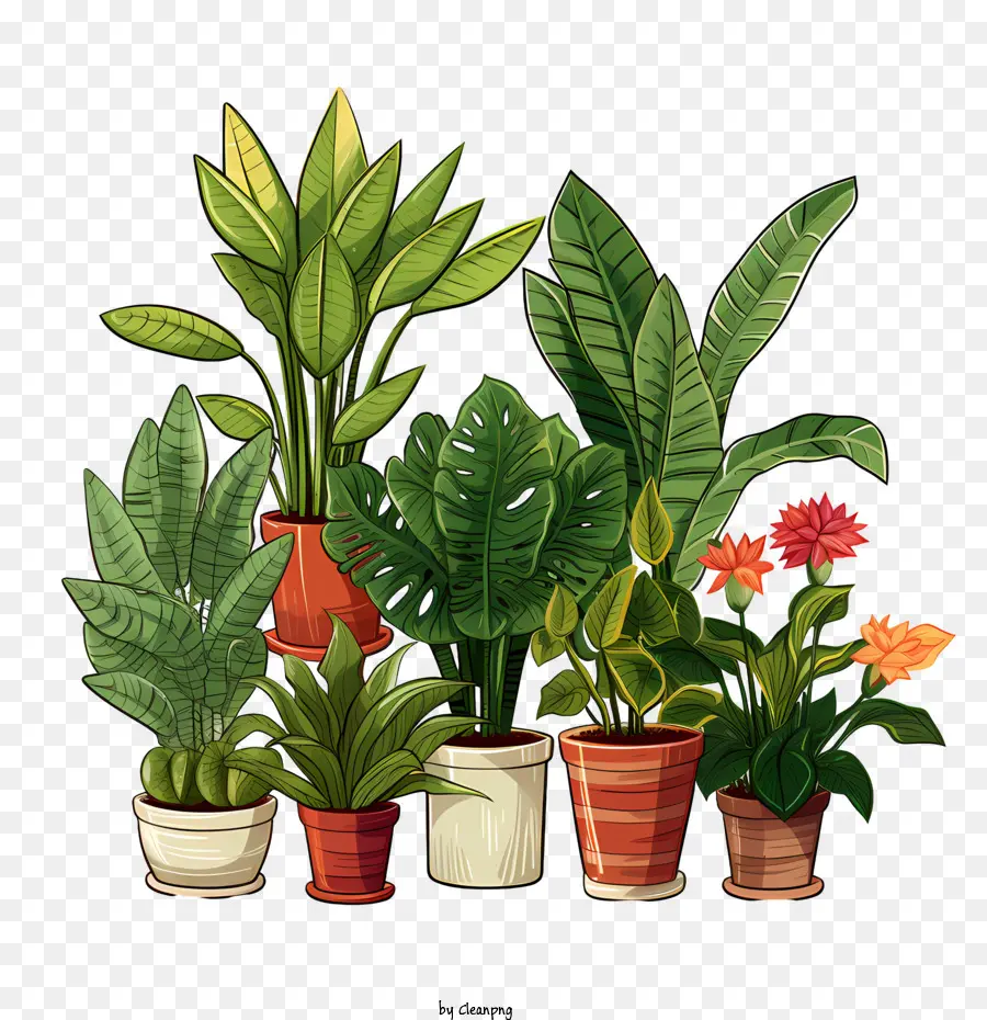 Houseplant Takdir Günü，Bitki PNG