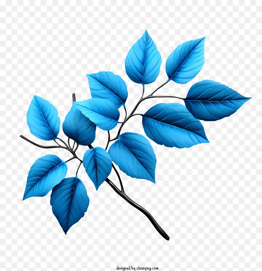 Mavi Yapraklar，Yeşil PNG