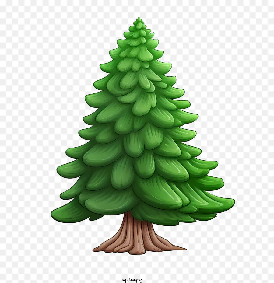 Yaprak Dökmeyen Ağaç，Ağaç PNG