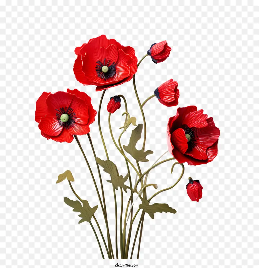 Afyon çiçeği，Kırmızı Haşhaş PNG