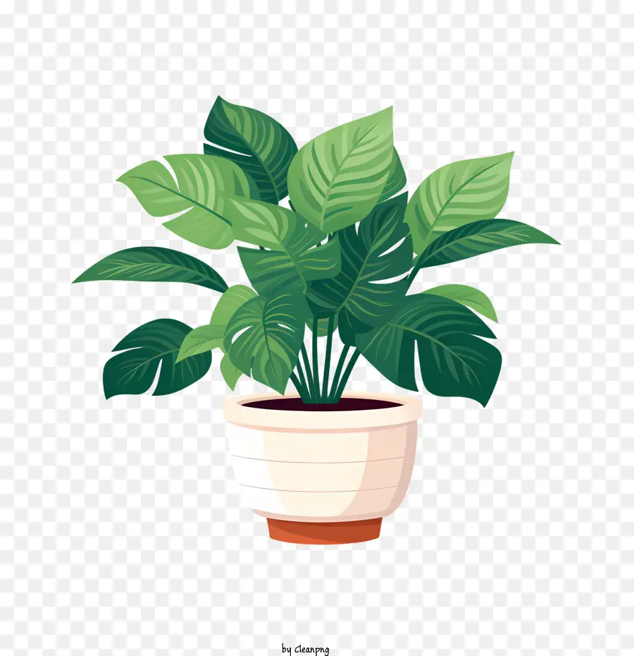 Houseplant Takdir Günü，Yeşil Bitki PNG