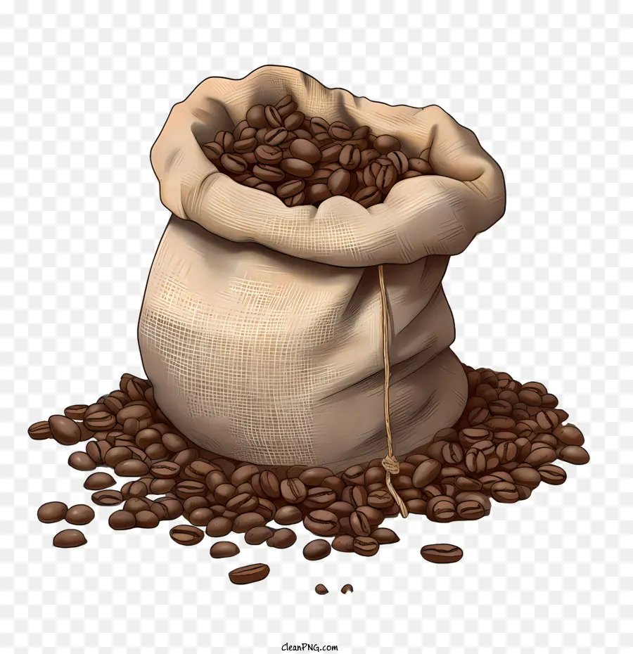 Kahve çekirdekleri，Kahve PNG