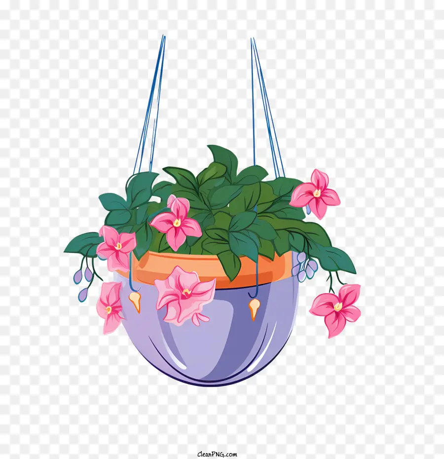 Tencereli Asılı Bitki，çiçek PNG