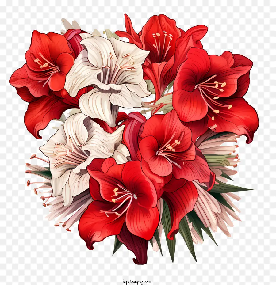 Amaryllis Çiçeği，Kırmızı çiçekler PNG