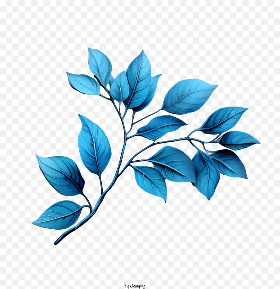 Mavi Yapraklar，Yaprak PNG