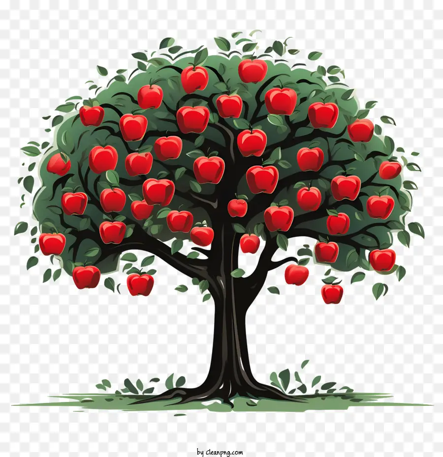 Meyve Elma Ağacı，Elma PNG