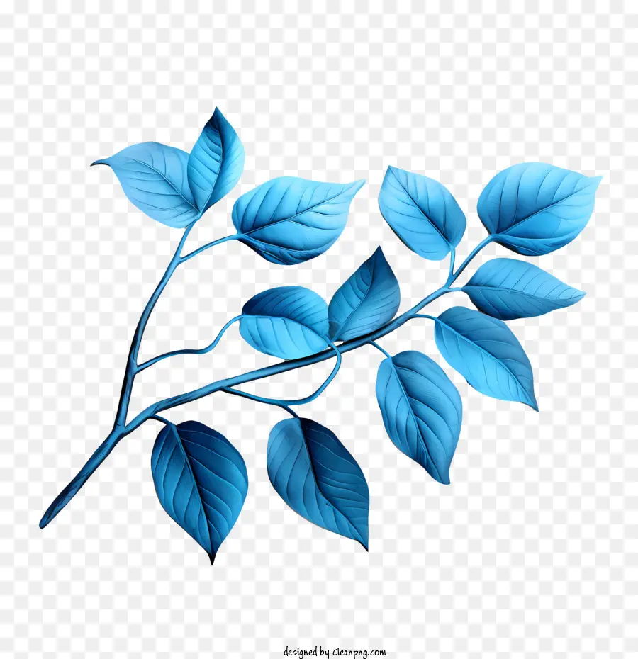 Mavi Yapraklar，Şube PNG